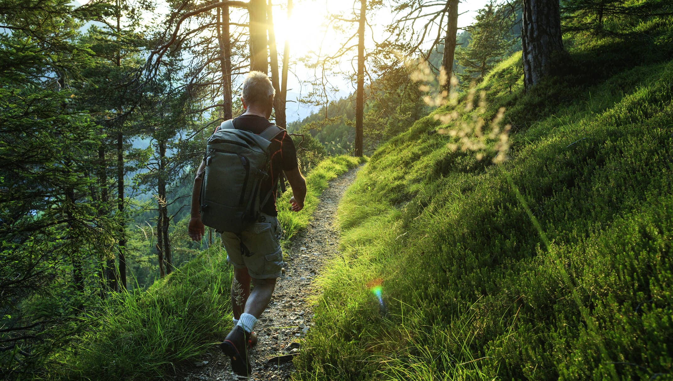 Birds of paradise against a wall